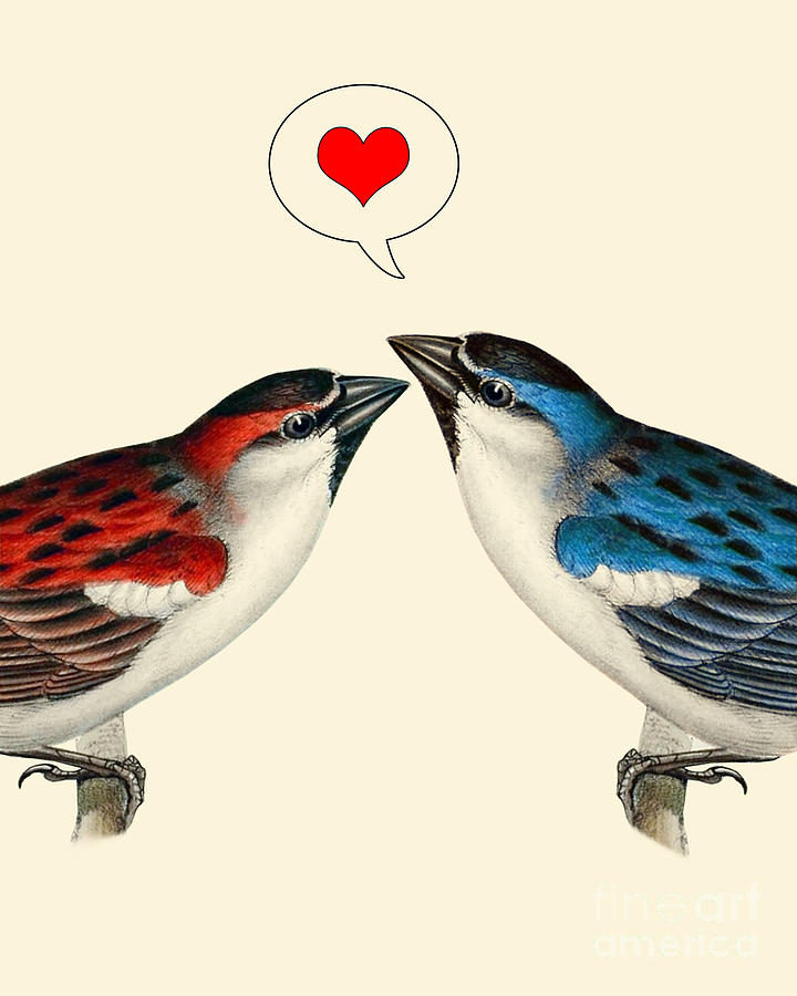 Sparrow Digital Art - Sparrow Couple by Madame Memento