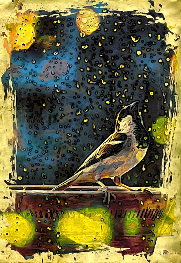 Sparrow In Rain Digital Art