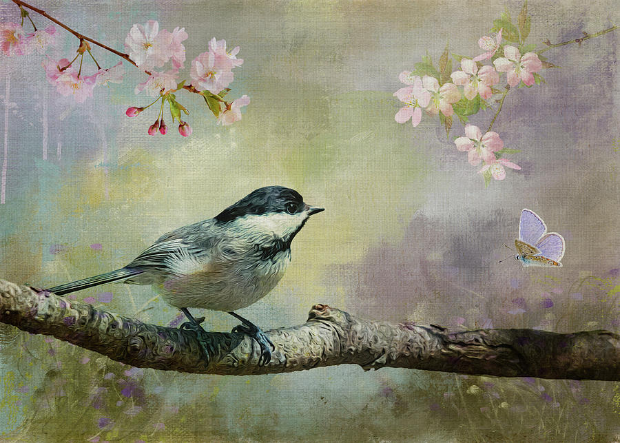 Sparrow In Springtime Photograph