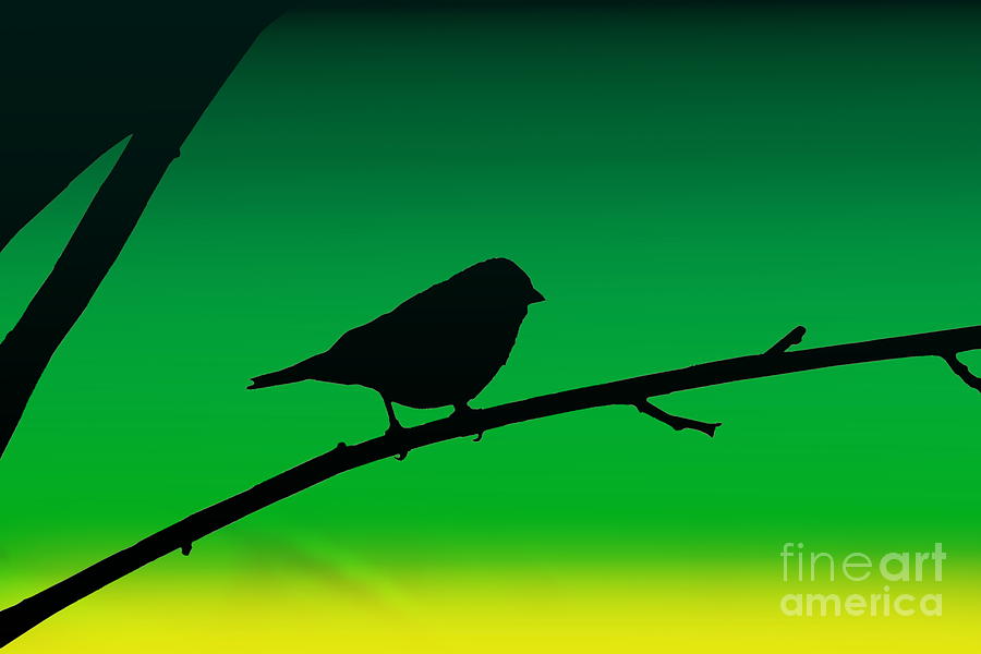 Sparrow Photograph - Sparrow Silhouette On Limonene  by Colleen Cornelius
