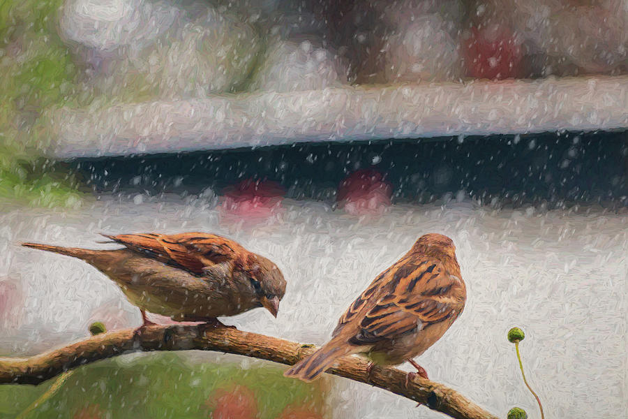 Sparrows in the Garden Digital Art by LGP Imagery