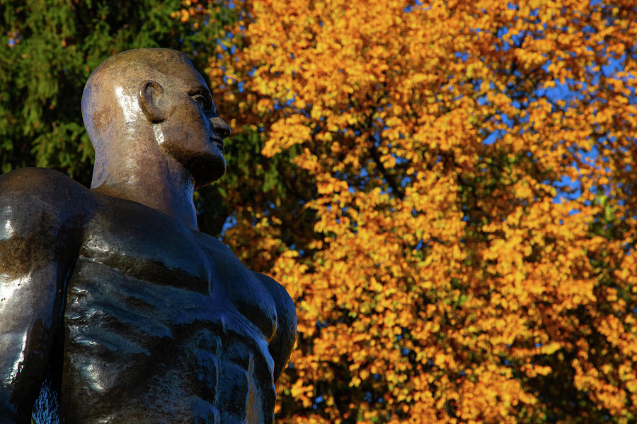 Spartan Statue with fall colors Photograph by Eldon McGraw