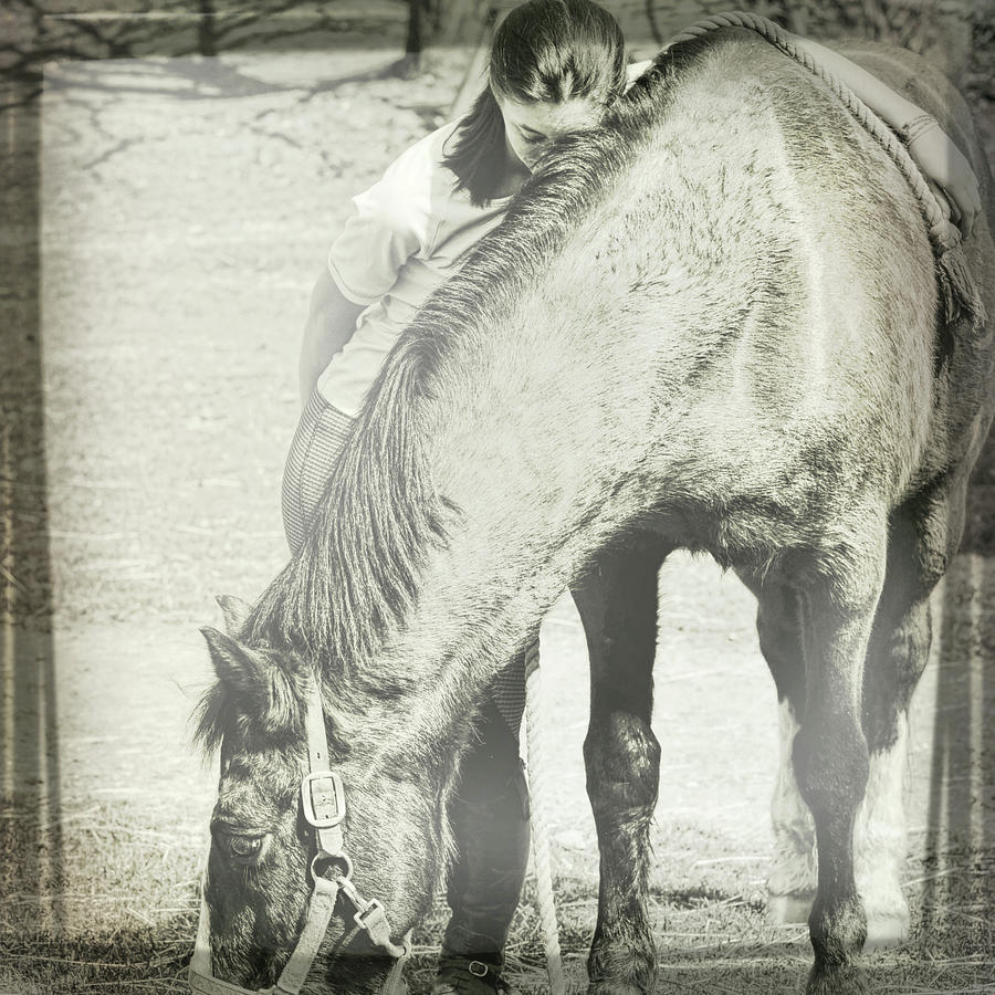 Special Bond Photograph By Jamart Photography Fine Art America