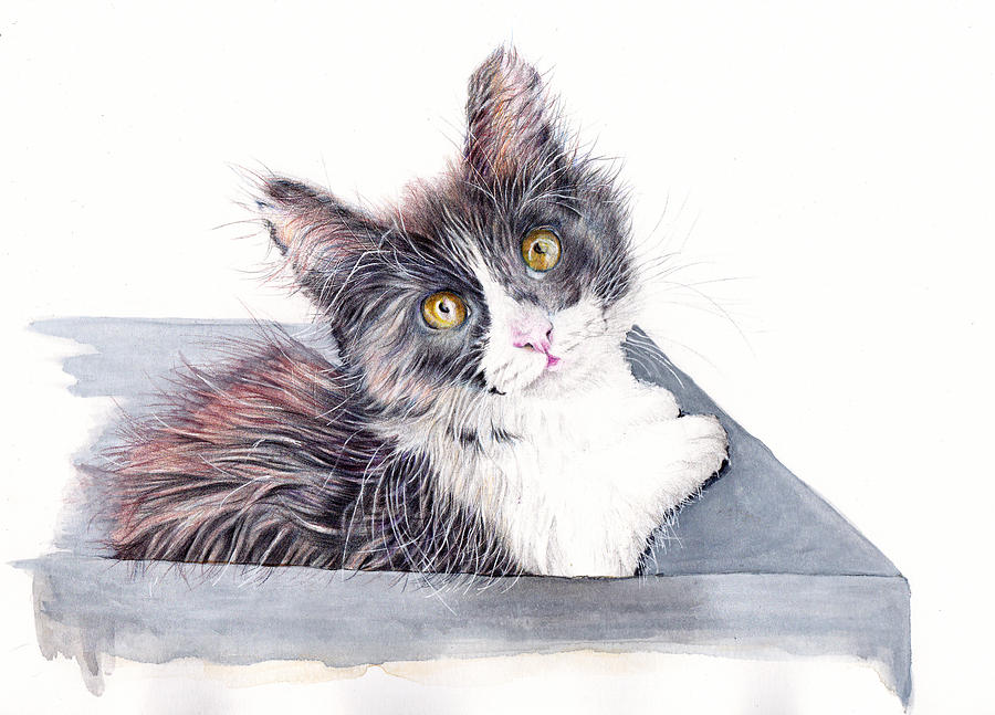 Special Delivery - Tuxedo Kitten Painting by Debra Hall