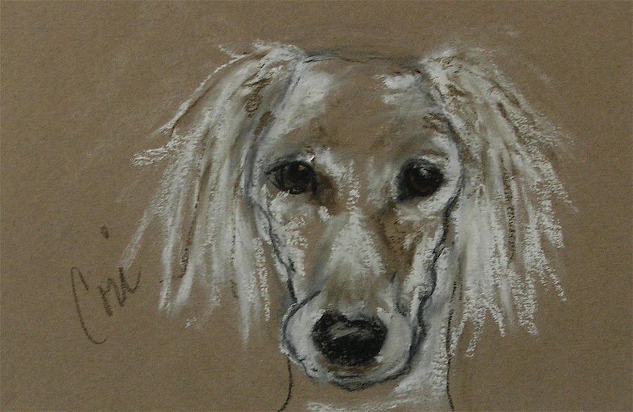 Dog Drawing - Special Moments by Cori Solomon
