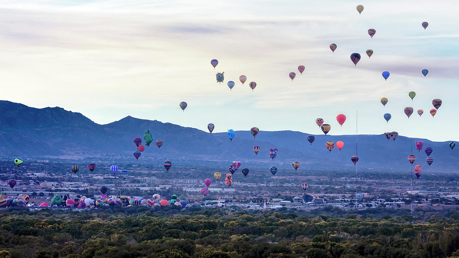 Special Shapes Day - Mass Ascension  Photograph by Susan Rissi Tregoning