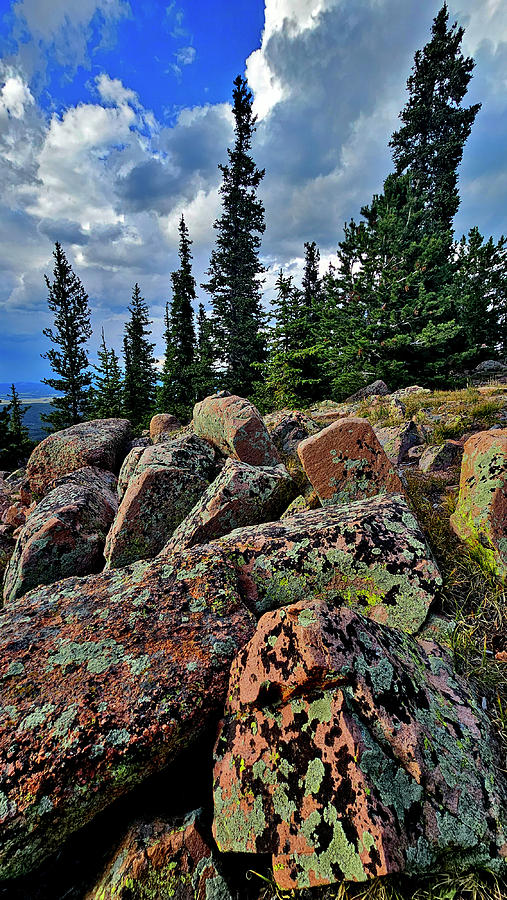 Speckled Boulders along Pikes Peak Highway Photograph by Ray Mathis Speckled Boulders along Pikes Peak Highway Photograph by Ray Mathis