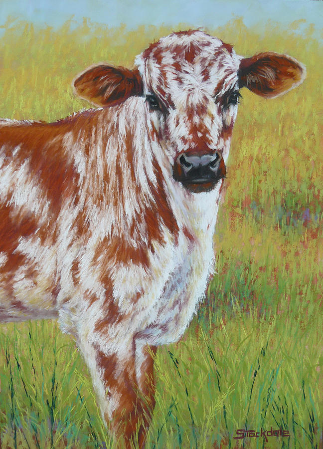 Speckled Calf  Pastel by Margaret Stockdale