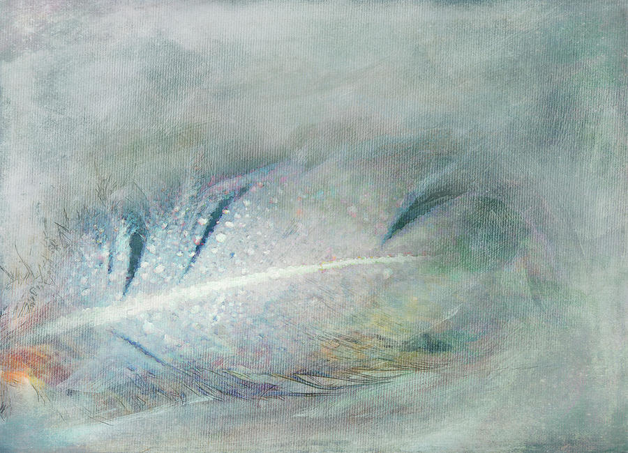 Speckled Feather Digital Art by Terry Davis