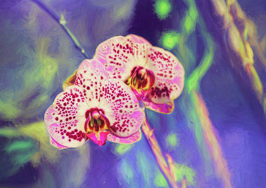 Orchid Photograph - Speckled Orchids Painterly by Lorraine Baum