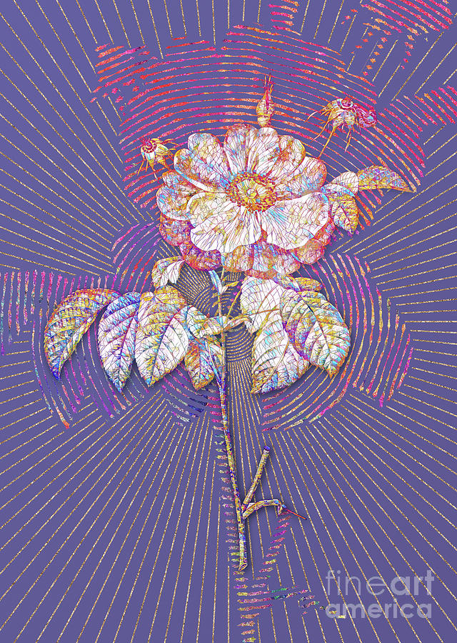 Speckled Provins Rose Mosaic Botanical Art on Veri Peri n.0369 Mixed Media by Holy Rock Design