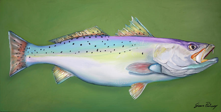 Speckled Trout by Sean Prokasy