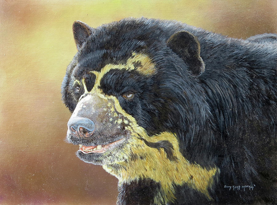Spectacled Bear Portrait Painting by Barry Kent MacKay