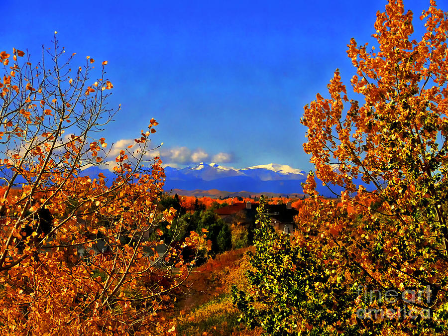 Spectacular Autumn In Foothills Of The Rockies Photograph by Al Bourassa