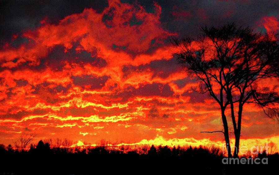 Spectacular Silhouetted Sunset After Snowmaggedon 2014 In Western New York Photograph