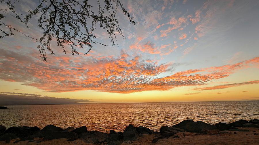 Spectacular Sunset Photograph by Lori Seaman