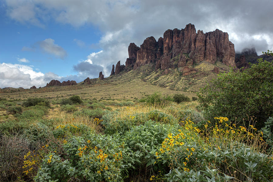 Spectacular Superstitions Photograph by Sue Cullumber