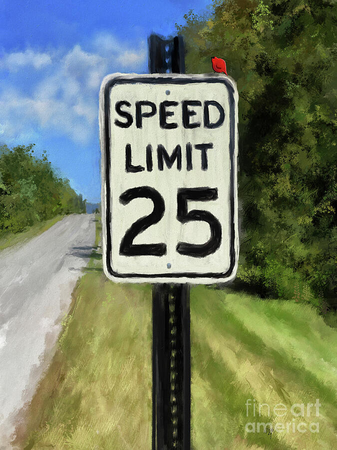 Speed Limit Digital Art by Lois Bryan