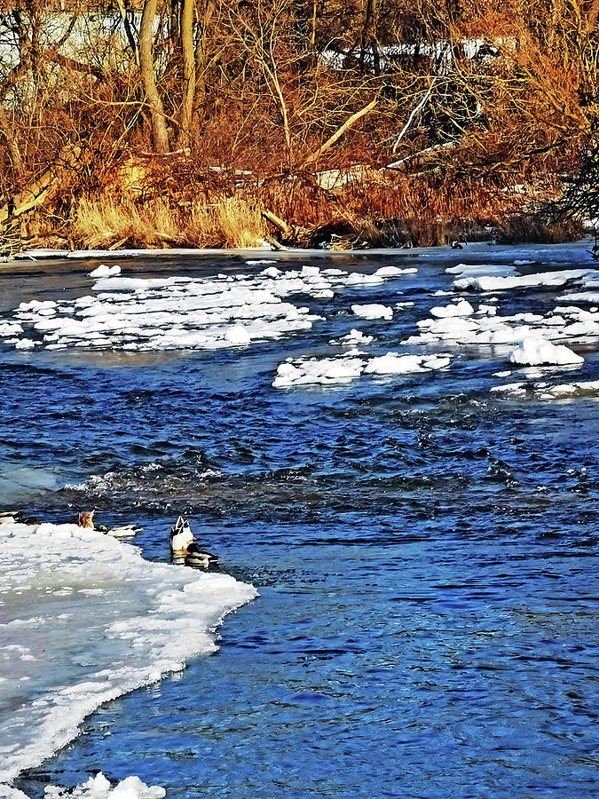 Speed River Floating Ice Photograph
