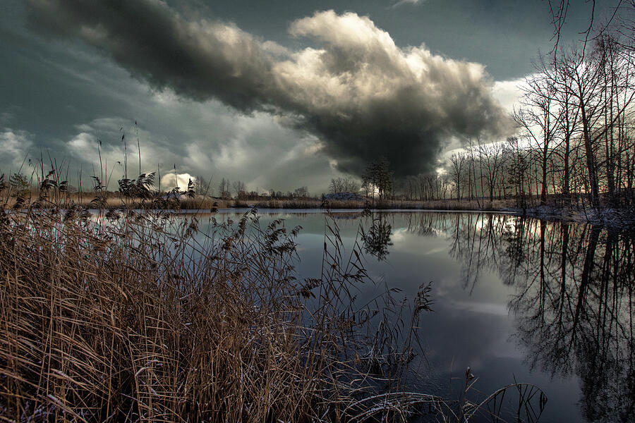 Spellbinding Cloud And Line Of Trees Latvia  Photograph by Aleksandrs Drozdovs