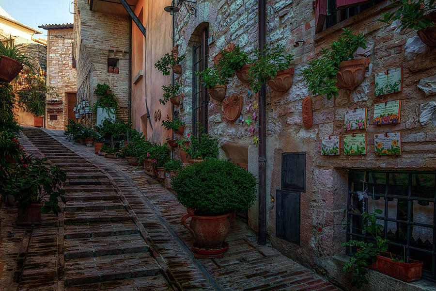 Spello - Italy Photograph by Joana Kruse