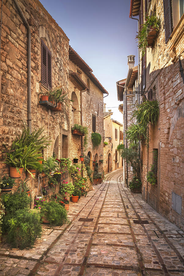 Spello, picturesque street and plants. Umbria Photograph by Stefano Orazzini