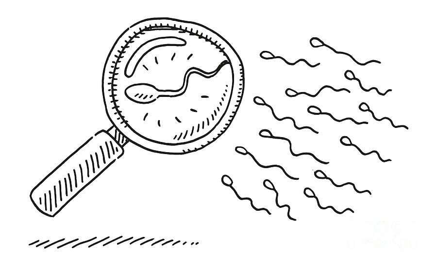 Black And White Drawing - Sperm Under Magnifying Glass Drawing by Frank Ramspott