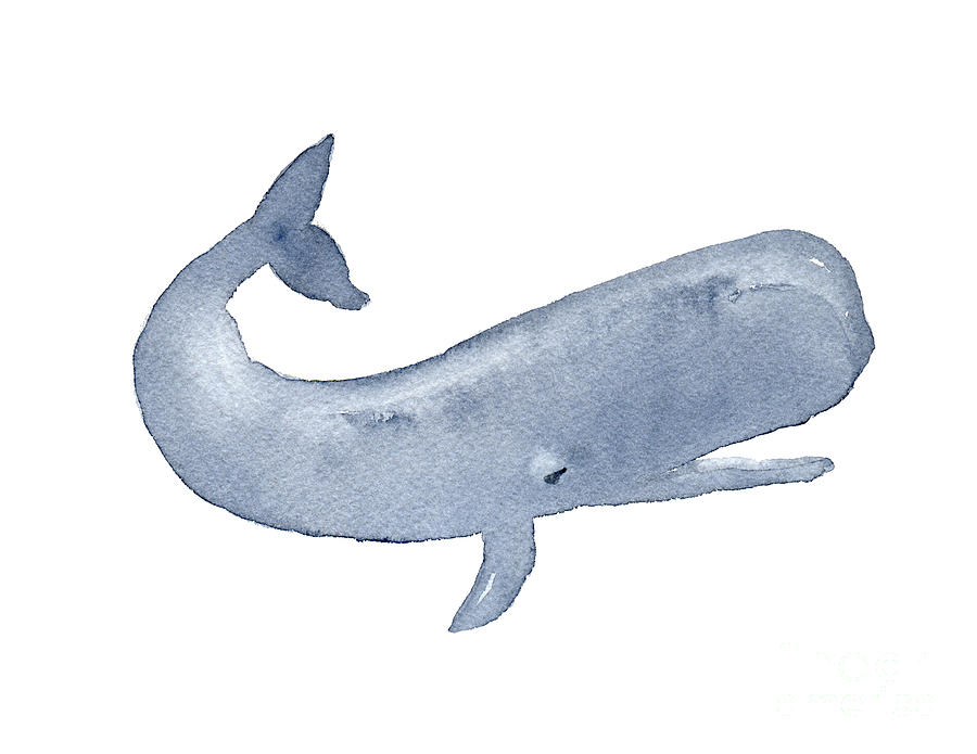 Sperm Whale Painting by D Rogers | Fine Art America