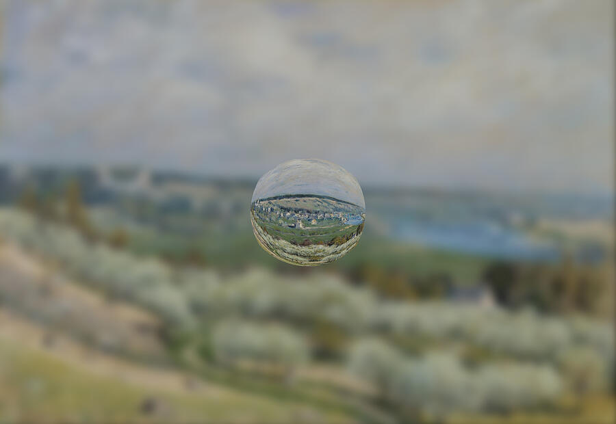 Sphere 24 Sisley Digital Art by David Bridburg