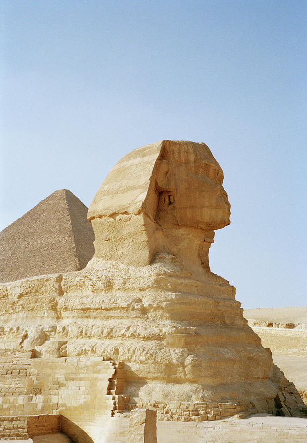 Sphinx Photograph by Shaun Higson