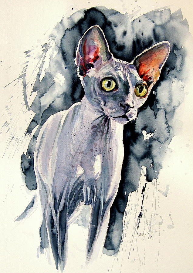 Sphynx cat Painting by Kovacs Anna Brigitta