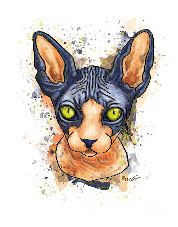 Sphynx cat painting, Splatter watercolor sphynx Painting by Nadia CHEVREL