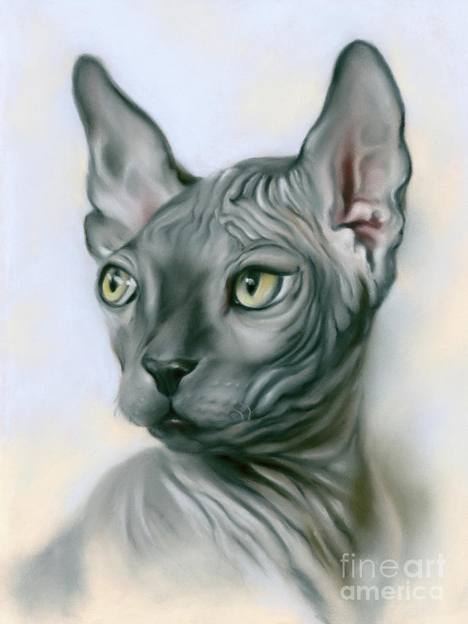 Sphynx Cat Portrait Gray Painting by MM Anderson