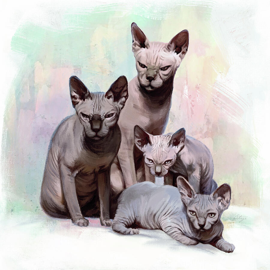 Sphynx Cats Digital Art by Simon Sturge