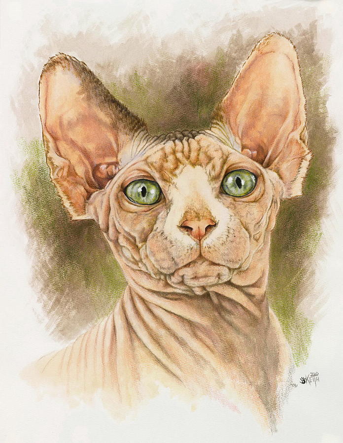 Sphynx in Watercolor Painting by Barbara Keith