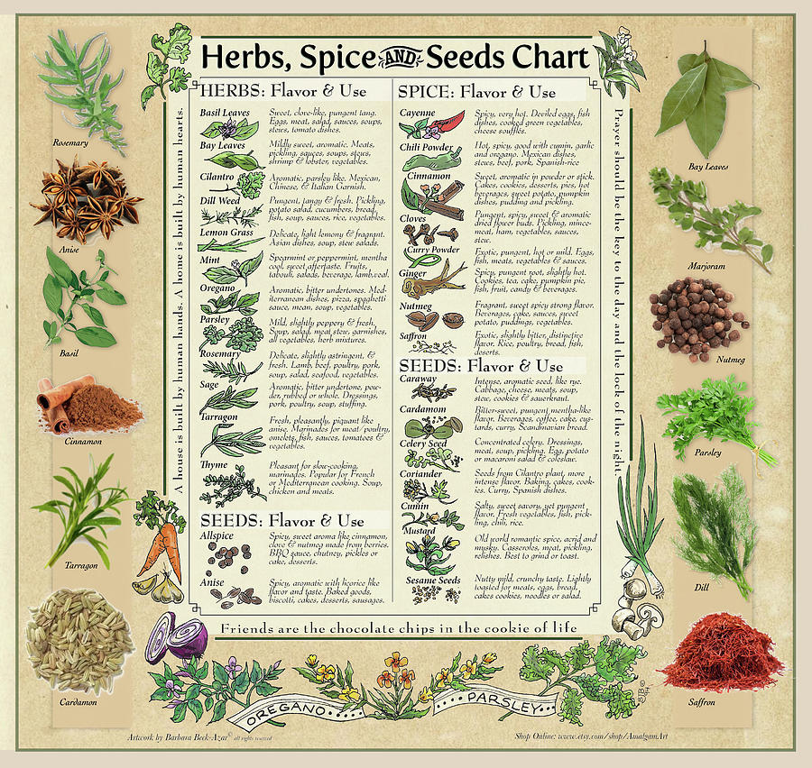 Spice and Herb Chart Digital Art by Barbara Beck-Azar - Fine Art America