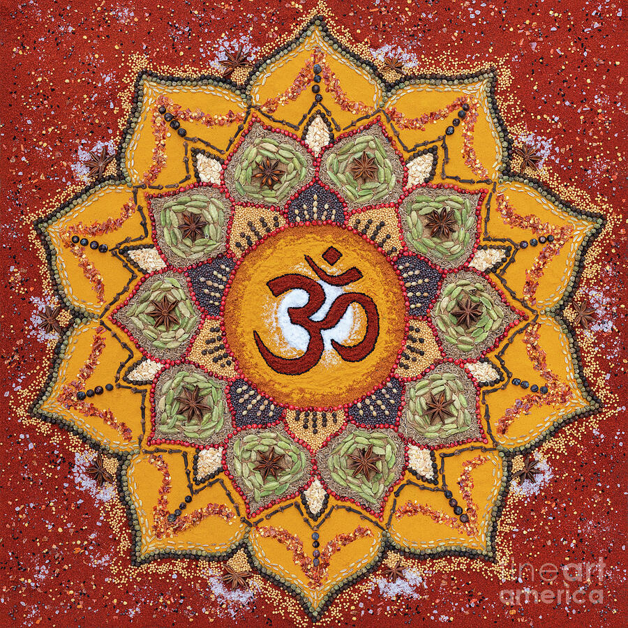 Spice Aum Lotus Mandala Photograph by Tim Gainey