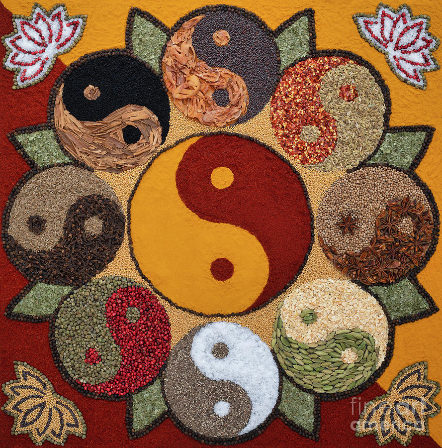 Spice Yin Yang Photograph by Tim Gainey