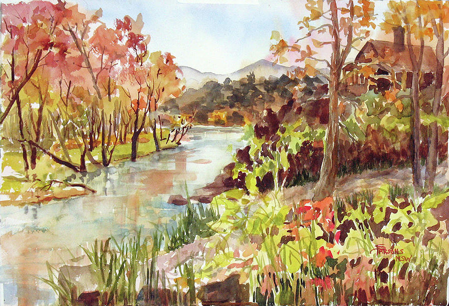 Spider Creek #6 Painting by Sheila Parsons