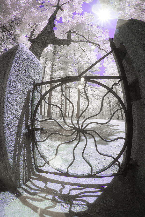 Spider Gates Photograph by Brian Hale