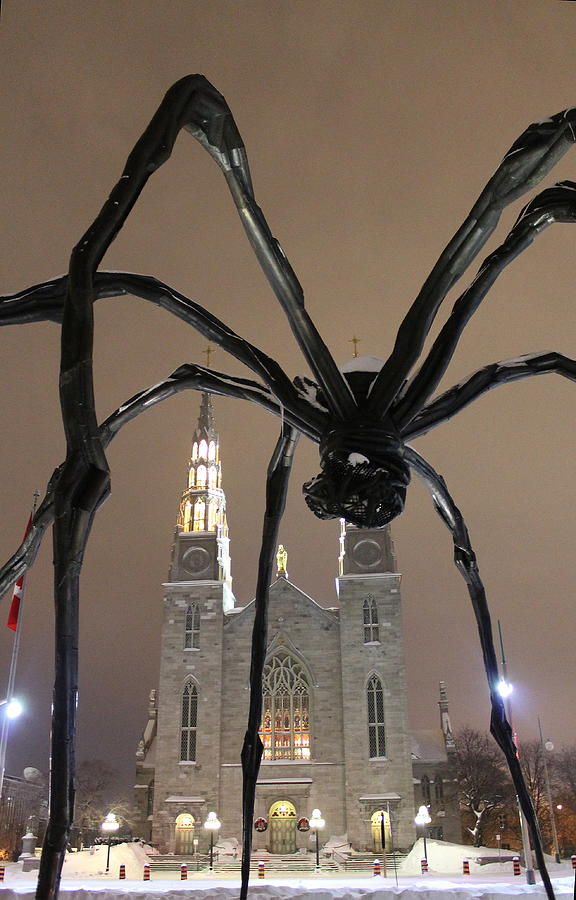 Spider in Ottawa Photograph by Jindra Noewi