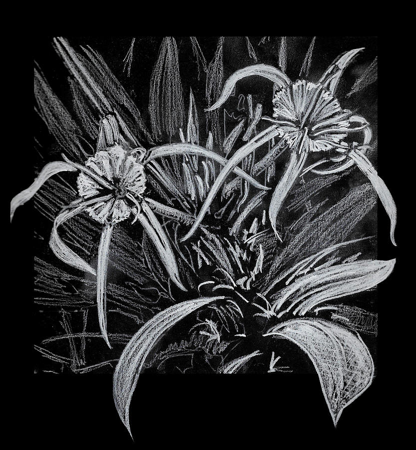 Spider Lillies Painting by Thomas Hamm