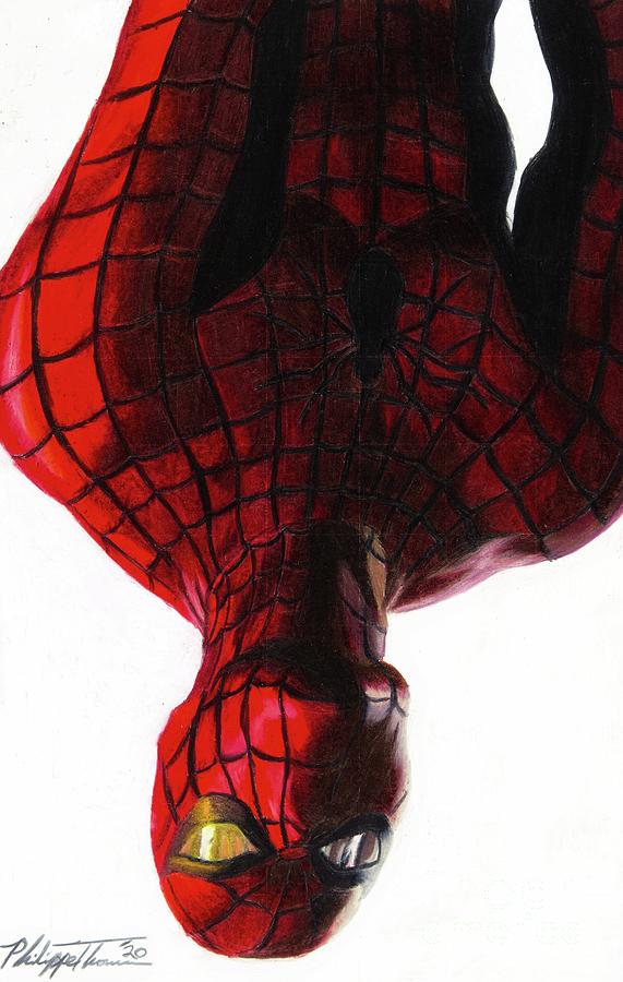 Spider-Man Timeless Drawing by Philippe Thomas