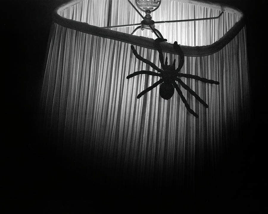 Spider on lamp-2 Photograph by Rudy Umans