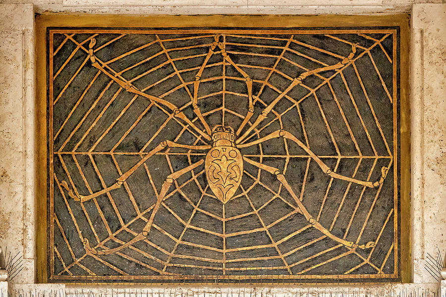 Spider on the Palazzo del Ragno Photograph by Fabrizio Troiani