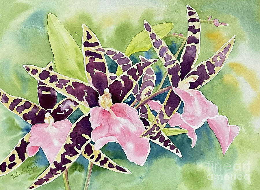 Spider Orchids Painting