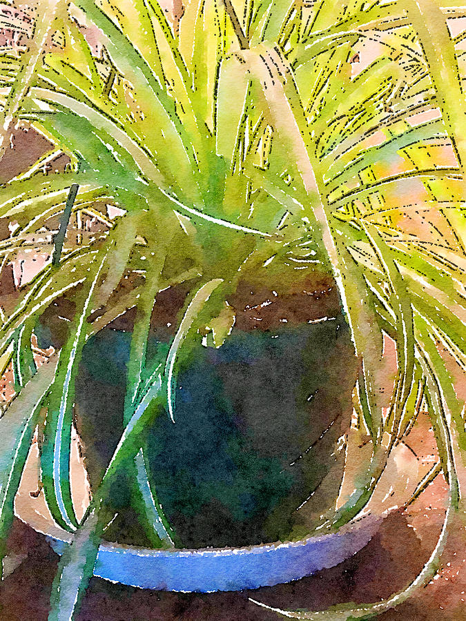 Spider Plant Mixed Media by Bonnie Bruno