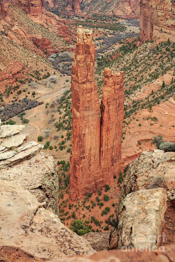 Arizona Photograph - Spider Rock Overlook 8b9181 by Stephen Parker