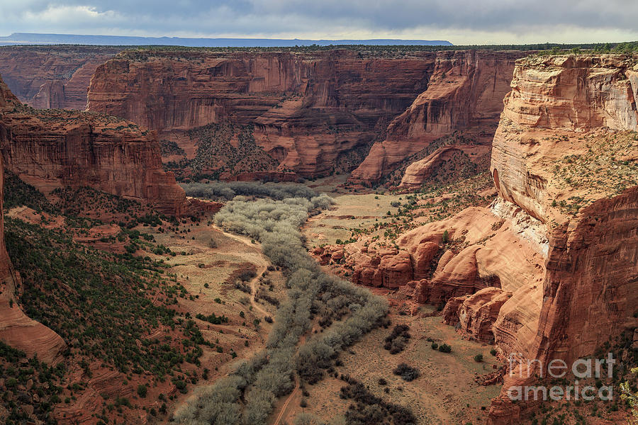 Arizona Photograph - Spider Rock Overlook 8b9190 by Stephen Parker
