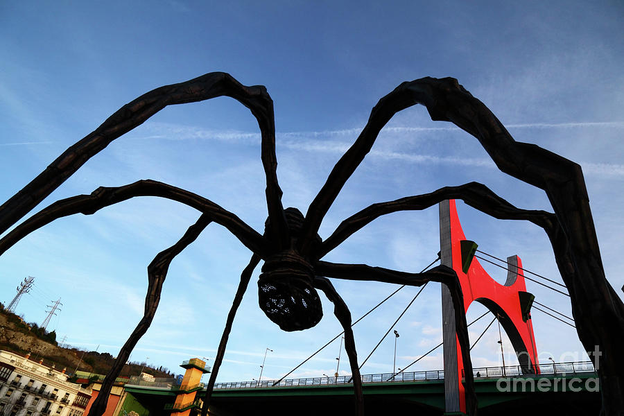 Spider Silhouette Bilbao Spain Photograph by James Brunker